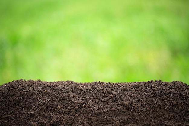 Foto vruchtbare bodempil met groen gras op de achtergrond