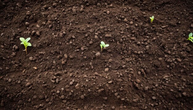 Vruchtbare leemgrond geschikt voor het planten van bodemtextuur achtergrond Topbeeld van verse bodem Concept van wereldwijde vervuiling Wereldbodemdag