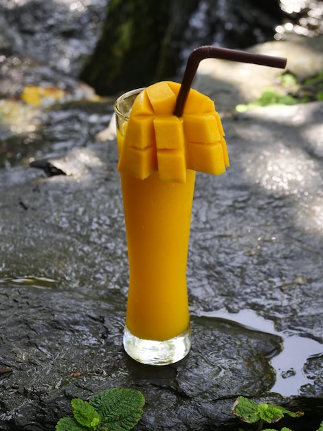 Vruchtensap fruit smoothie vruchtensap vruchtensap in glas Geplaatst op een rots bij de waterval