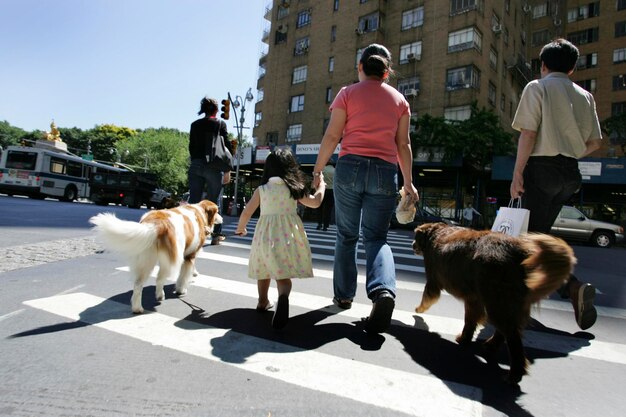 VS Verenigde Staten van Amerika New York City Nanny met kind en honden tijdens een wandeling