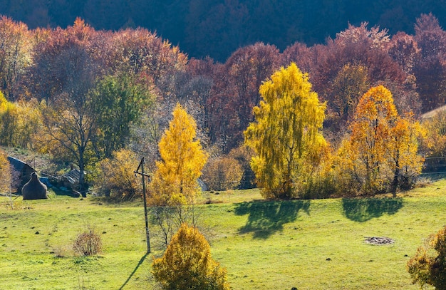 Vuile secundaire weg in de herfst Karpatische berg Oekraïne