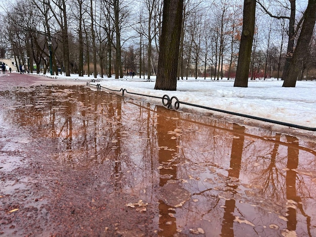 Vuile smeltende sneeuw en sneeuwbrij op parkbaan op naakte bomen in het vroege voorjaar die reflecteren in een plas