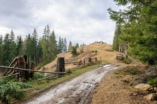 Vuile weg en een huis in de buurt van het bos