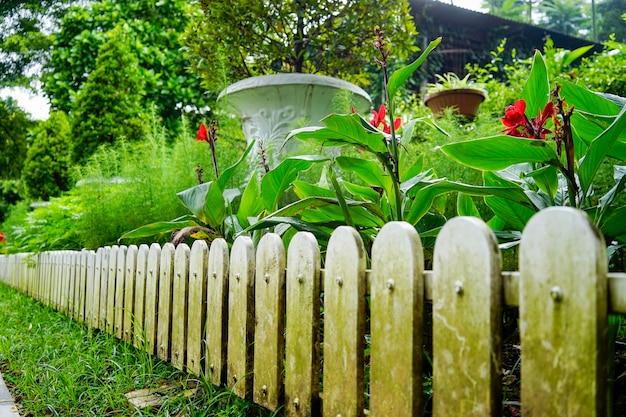 vuile witte hekken in de tuin