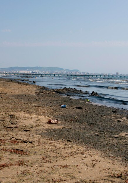 Vuilnis op het strand Aluminium blikjes aan de kust van de Zwarte Zee