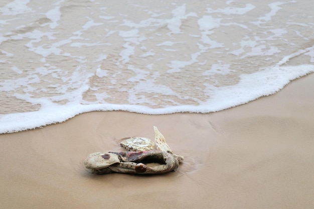 Vuilnis weggegooide oude sneaker op het strand met schelpen op zand Milieu- en natuurconcept