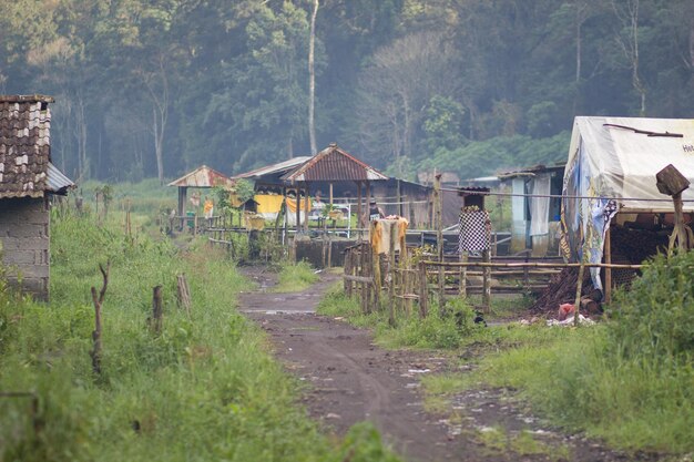 Foto vuilweg in het dorp