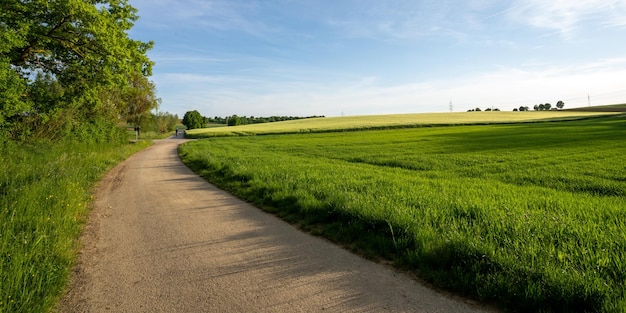 Foto vuilweg midden in het veld tegen de lucht.