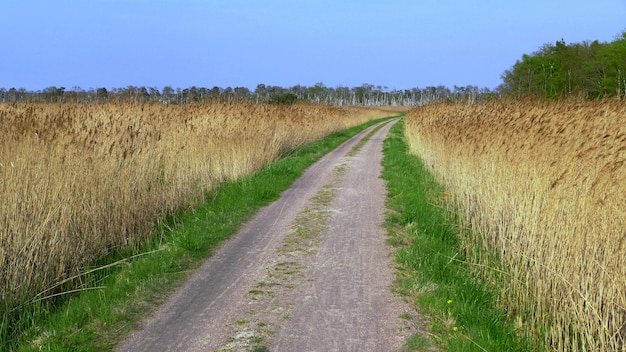 Vuilweg midden in het veld tegen de lucht.