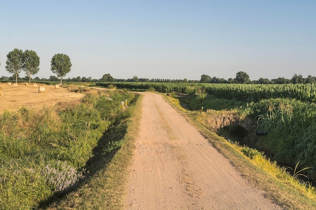 Vuilweg midden in het veld tegen een heldere lucht.