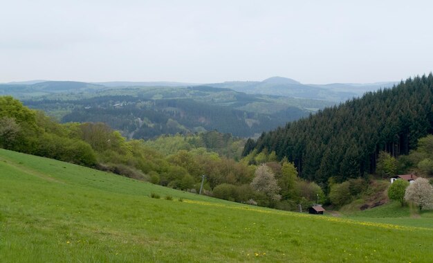 Vulkan Eifel scenery