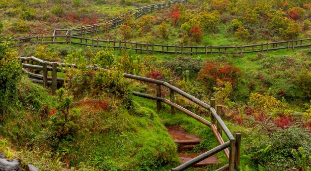 Vulkanisch landschap op het eiland terceira, azoren