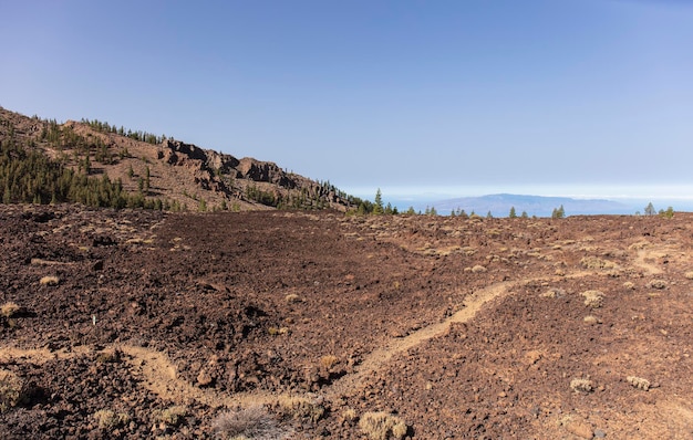 Vulkanisch landschap van de Canarische Eilanden Spanje