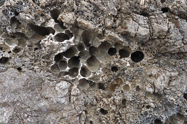 Vulkanische stenen Sponsachtig cellulair los luchtig poreus steenmateriaal Close-up gesteente nabij Meljine Herceg Novi Montenegro Gaten in gestolde lava Grijszwart gesteente van het Adriatische Middellandse Zeegebied