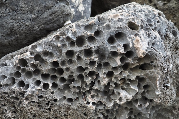 Vulkanische stenen Sponsachtig cellulair los luchtig poreus steenmateriaal Close-up gesteente nabij Meljine Herceg Novi Montenegro Gaten in gestolde lava Grijszwart gesteente van het Adriatische Middellandse-Zeegebied