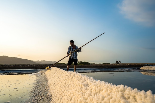 Vung Tau VIETNAM 18 maart 2023 Zeezoutproces gemaakt van stapel zout in de zoutpan door arbeider op het platteland van Long Dien Zoutvelden is een van de meest unieke bestemmingen in Vietnam