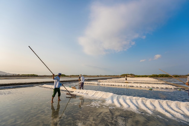 Vung Tau VIETNAM 18 maart 2023 Zeezoutproces gemaakt van stapel zout in de zoutpan door arbeider op het platteland van Long Dien Zoutvelden is een van de meest unieke bestemmingen in Vietnam