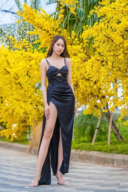 ブンタウ ベトナム 2023 年 1 月 7 日 Ochna Integerrima 花テト休日旧正月の近くに立っている黒いドレスを着た美しいアジアの女性の肖像画