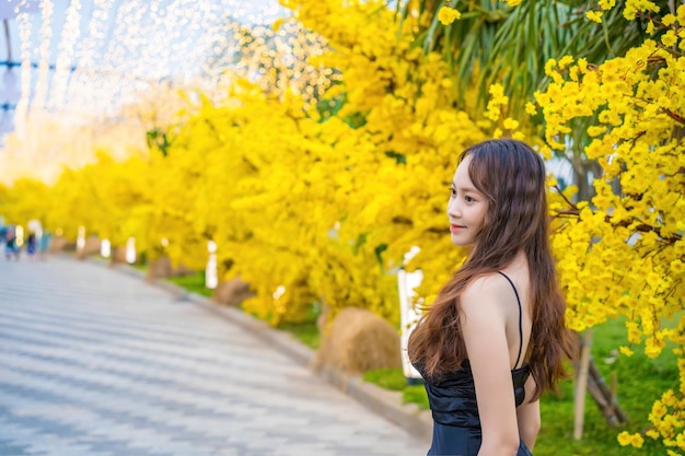 Vung Tau VIETNAM JAN 7 2023 Portrait of a beautiful Asian woman on black dress standing near Ochna Integerrima flower Tet holiday Lunar New Year