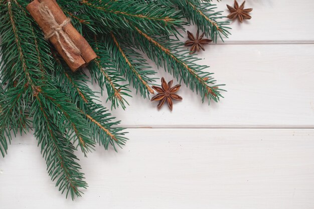 Vuren tak op een witte achtergrond. Kerstmis achtergrond.