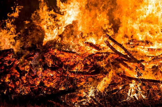 Vuur, brandend gras en kleine bomen.