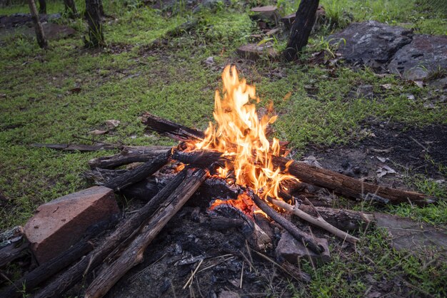 Vuur kamperen brandend hout