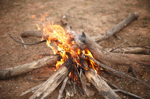 Vuur op een boomstam in het bos