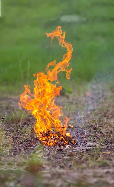 Foto vuur op het veld