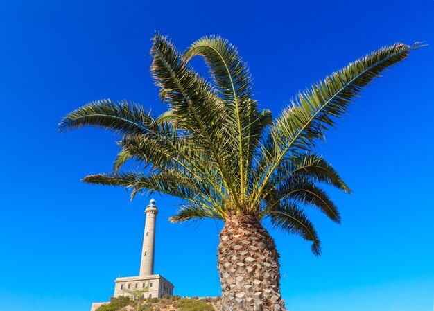 Vuurtoren Cabo de Palos zomer uitzicht en palmboom vooraan op blauwe hemelachtergrond (Cartagena, Murcia, Spanje).