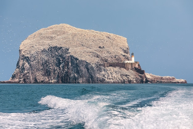 Vuurtoren en zeevogelskolonie op Bass Rock. Vaarroute met schuimende golf. Schotland