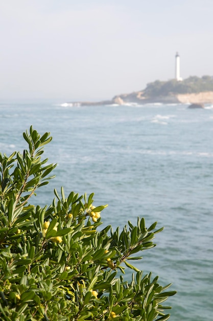 Vuurtoren in Biarritz, Frankrijk, Europa