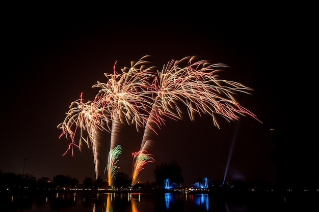 vuurwerk in de donkere lucht tijdens het nachtfestival