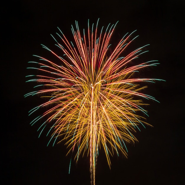 Vuurwerk in de donkere lucht