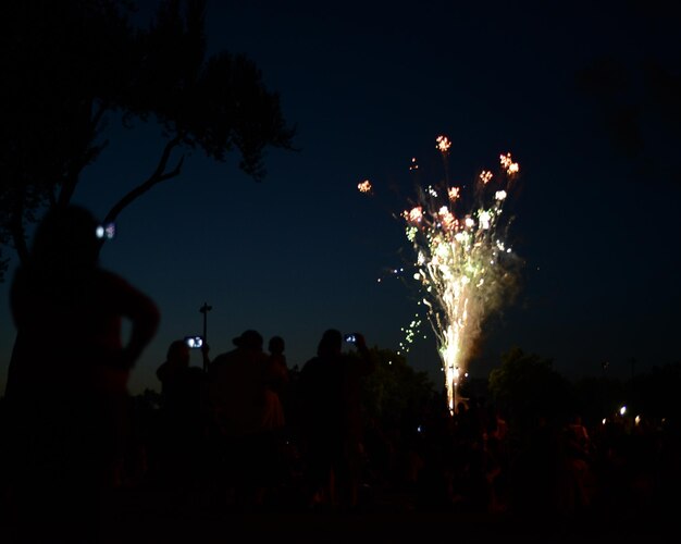 Foto vuurwerk's nachts.