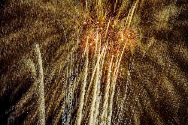 Vuurwerk verlicht de lucht in een oogverblindend schouwspel