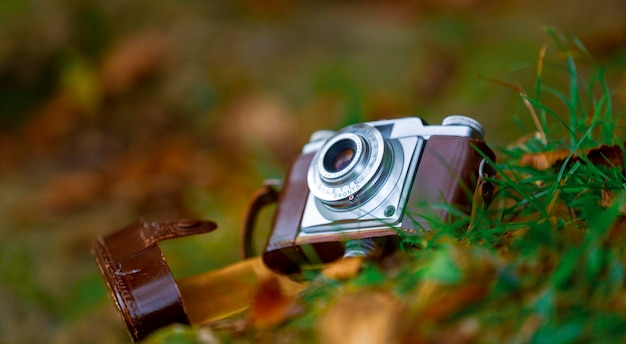 Waardevolle oude camera's die in de natuur zijn gefotografeerd