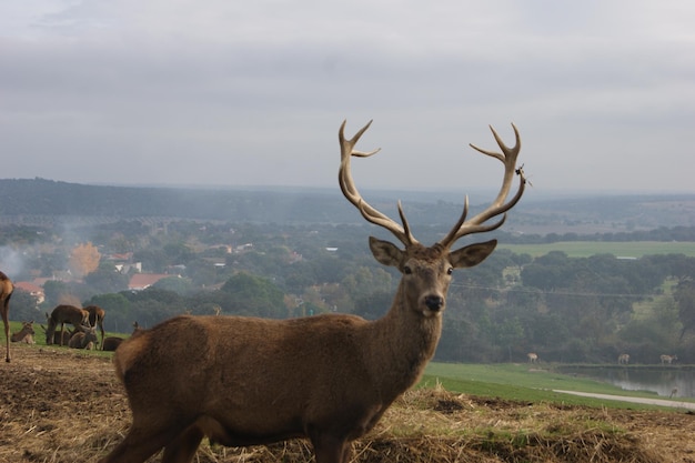 Foto waarschuwde gewei op de heuvel.