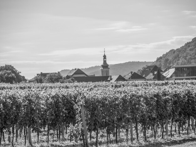 Wachau in austria