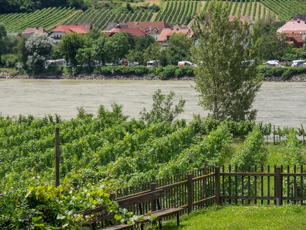 Photo wachau at the danube river