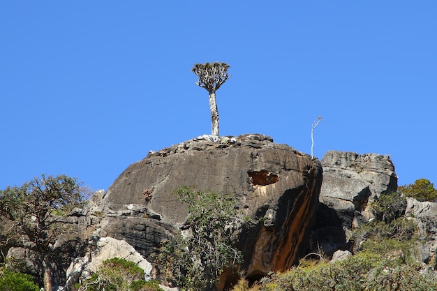 Foto wadi dirhur canyon isola di socotra oceano indiano yemen