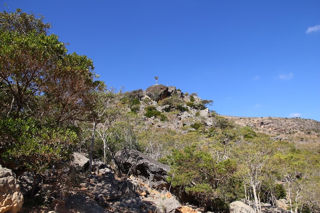 Wadi Dirhur Canyon Socotra island Indian ocean Yemen