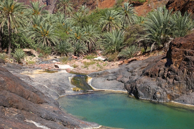 Wadi Dirhur Canyon Socotra island Indian ocean Yemen