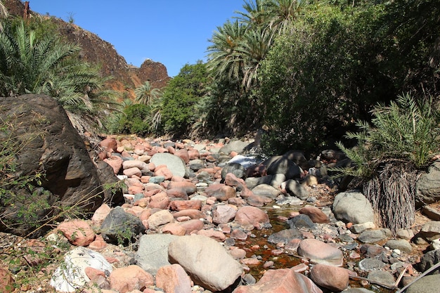 Wadi dirhur canyon isola di socotra oceano indiano yemen