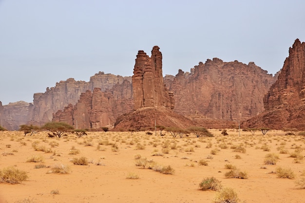 サウジアラビアのアルシャク峡谷のワディディサ