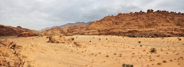 サウジアラビアのアルシャク峡谷のワディディサ