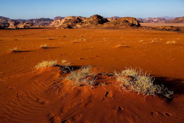 Deserto del wadi rum in giordania