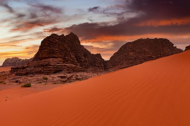 Wadi Rum-woestijn in Jordanië bij de prachtige dageraad Woestijnlandschap