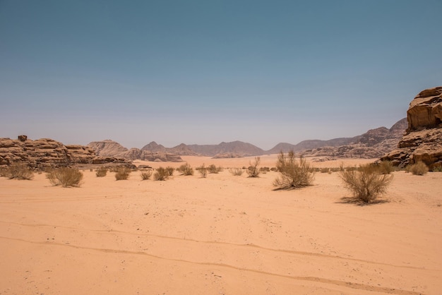 Wadi Rum woestijn Jordanië