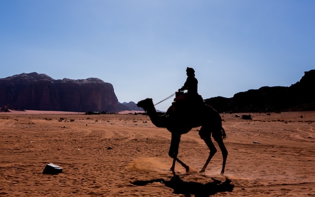 Wadi Rum Woestijnlandschap in Jordanië. Reis concept. Kameel