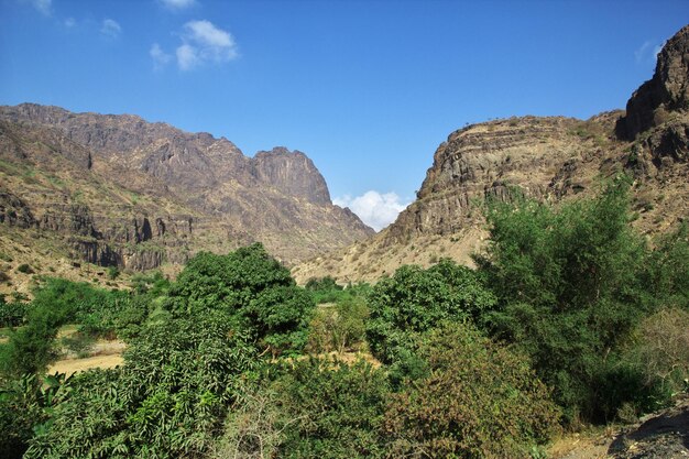 Wadi sara in bergen yemen